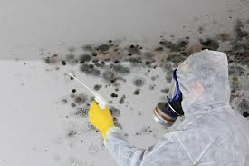 Best Industrial Mold Remediation  in Chickasaw, AL